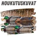 Houkutuskuvat Houkutuskuvat