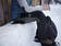 Fjällräven Keb Trousers M Reg - Miesten Ulkoiluhousut Musta - Ulkoilu- ja vaellushousut - F85656R-550 - 12