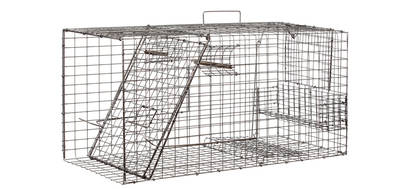 Kaniloukku Granlunds Wildlife - Kaniloukut - OF20-1 - 1