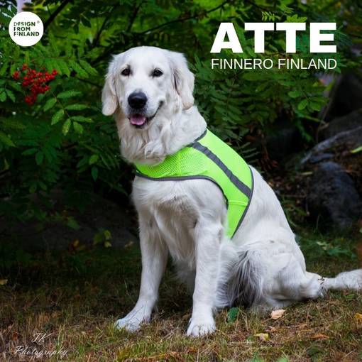 FinNero ATTE Attention Vest Koiraliivi Yellow Mesh - Koiraliivit - 6438406005802 - 1