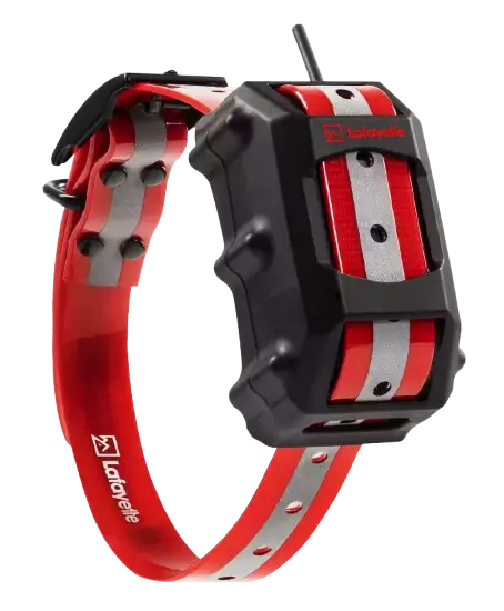 Lafayette GPS C40 GSM/LTE Koiratutka - Koiratutkat - 7332020700022 - 1