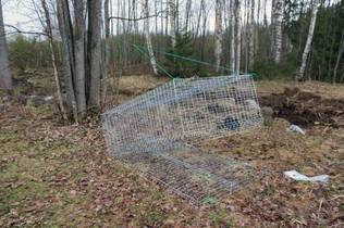 KANU Loukku 66x120x200 - Kettuloukut - P1176 - 1