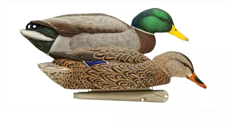 Avian-X Back Water Sorsakaaveet 6kpl - Houkutuskuvat - P6369 - 1