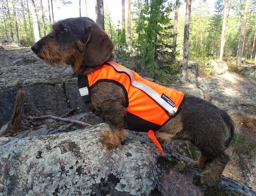Kardog Vilma Huomioliivi Kelta/Oranssi - Koiraliivit - VILMA - 1