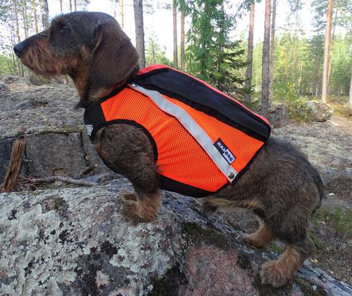 Kardog Uuno GPS-Huomioliivi - Koiraliivit - UUNOMK - 1