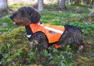 Kardog Otso Huomioliivi - Koiraliivit - OTSO - 1