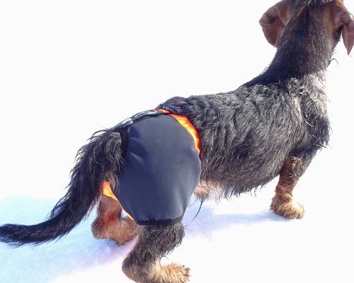 Kardog Kaapo Kivessuoja - Koiraliivit - KAAPO - 1