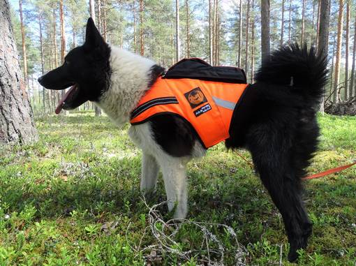 Kardog JEHU Kelluttava GPS-Huomioliivi - Koiraliivit - JEHU - 1